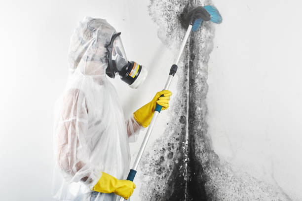 Best Industrial Mold Remediation  in Milan, OH