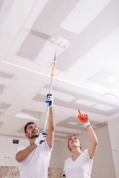 Best Mold Prevention Services  in Milan, OH