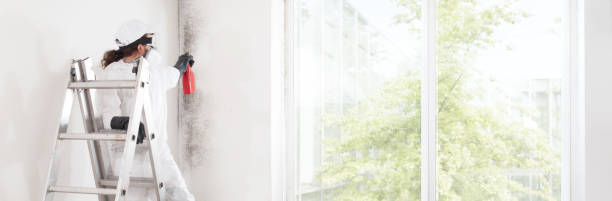 Best Water Damage & Mold Remediation  in Milan, OH