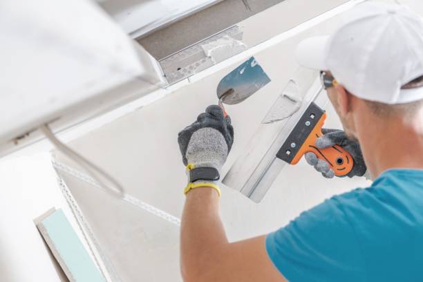 Best Crawl Space Mold Remediation  in Milan, OH